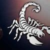 Scorpio, misteryoso, mystical, kamangha-manghang zodiac sign
