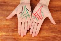 हस्तरेखा विज्ञान में भविष्य को देखने के लिए किस हाथ का उपयोग किया जाता है: नौसिखियों के लिए एक गाइड