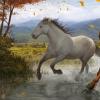 एक महिला घोड़े का सपना क्यों देखती है - सपने की किताबों से व्याख्या, सपने की व्याख्या, अगर आप घोड़े का सपना देखते हैं तो इसका क्या मतलब है