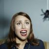¿Por qué no puedes matar a las arañas: supersticiones populares, señales y religión por qué es imposible matar a las personas si están equivocadas?