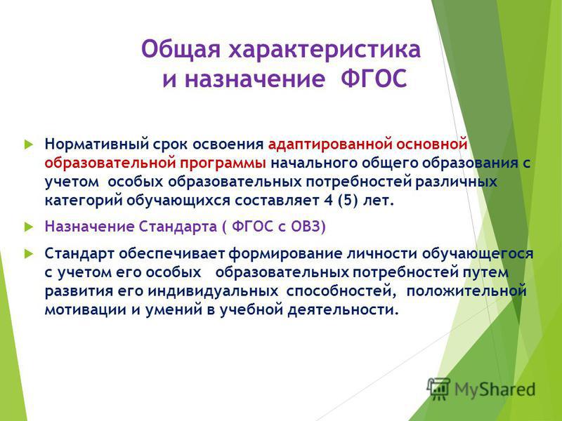 Адаптированная программа начального общего образования